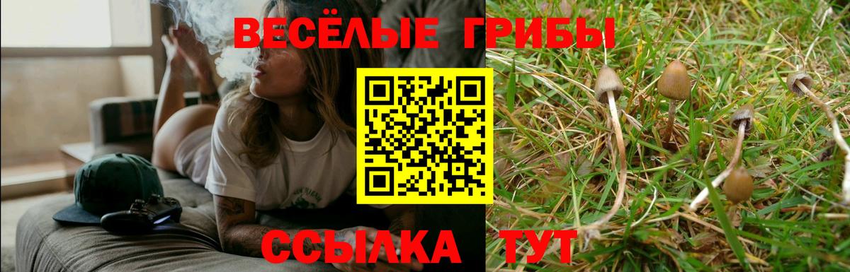 Псилоцибиновые грибы мицелий  Вход с VPN  Уварово 